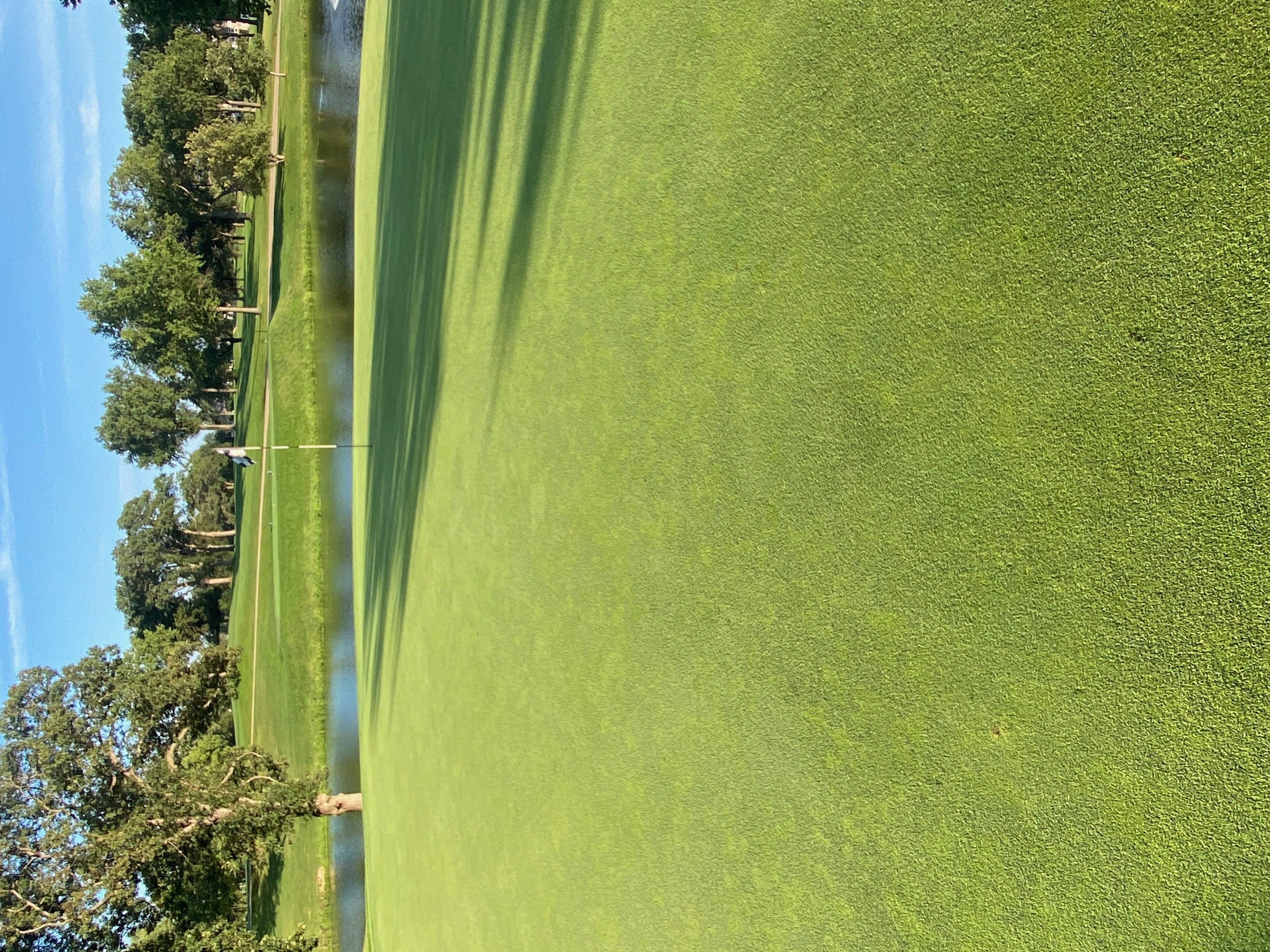 Putting green with pond